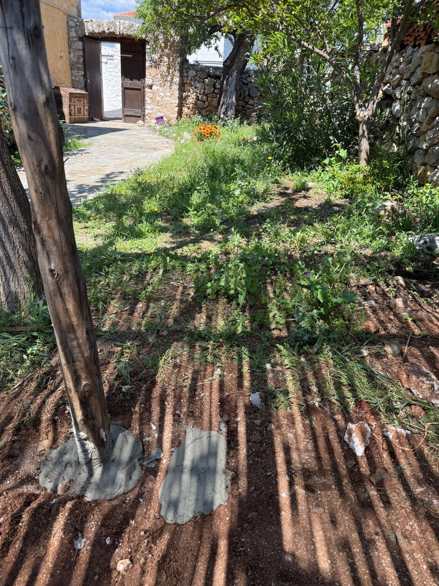 A garden bed of aromatic herbs