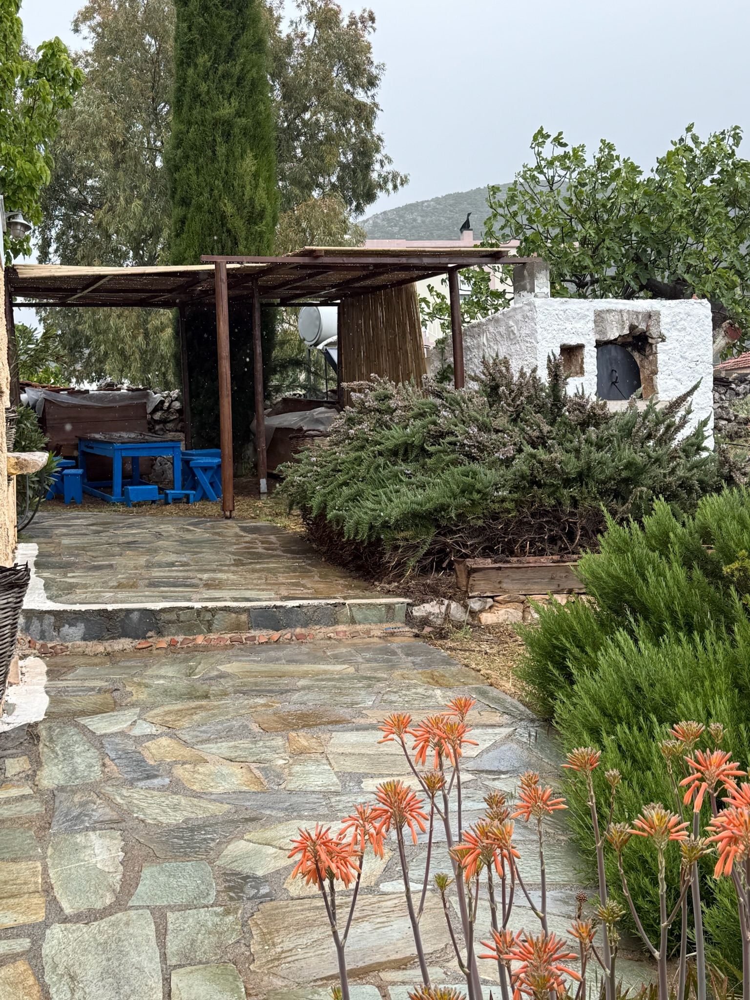 Outdoor sitting area in the courtyard