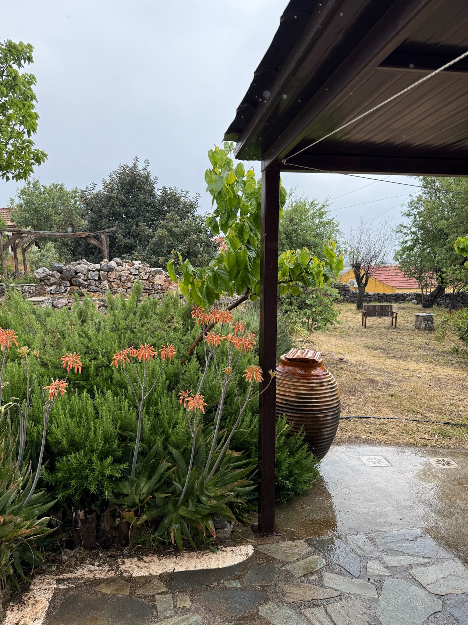 Seasonal flowers among the stone walls