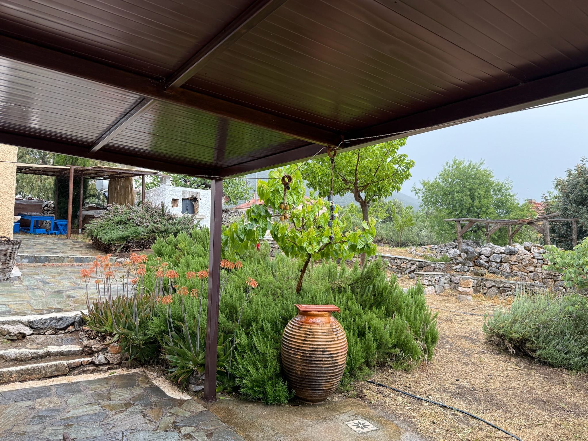 The vine-covered courtyard after rain