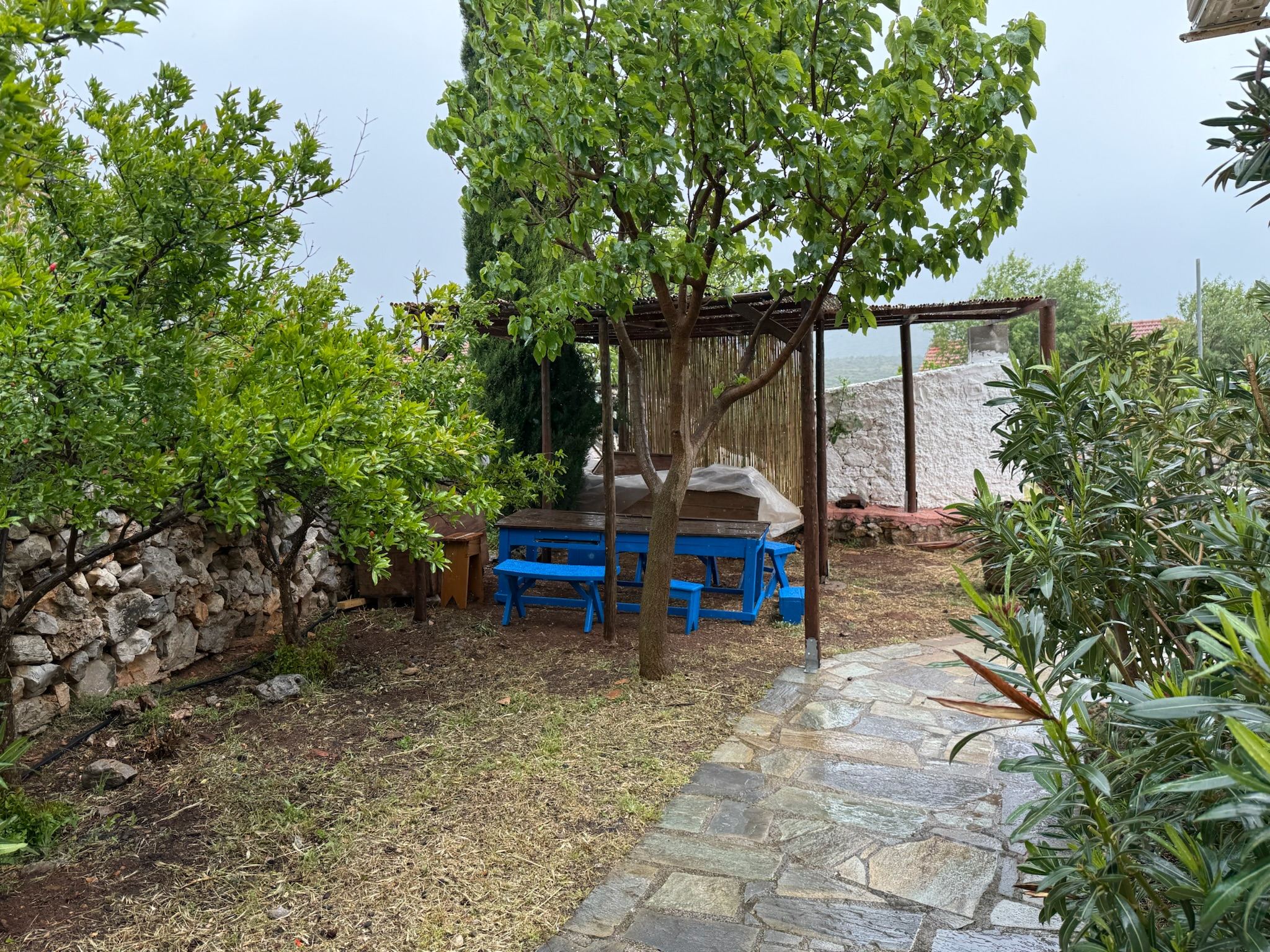 Blue table beneath the old vine arbor