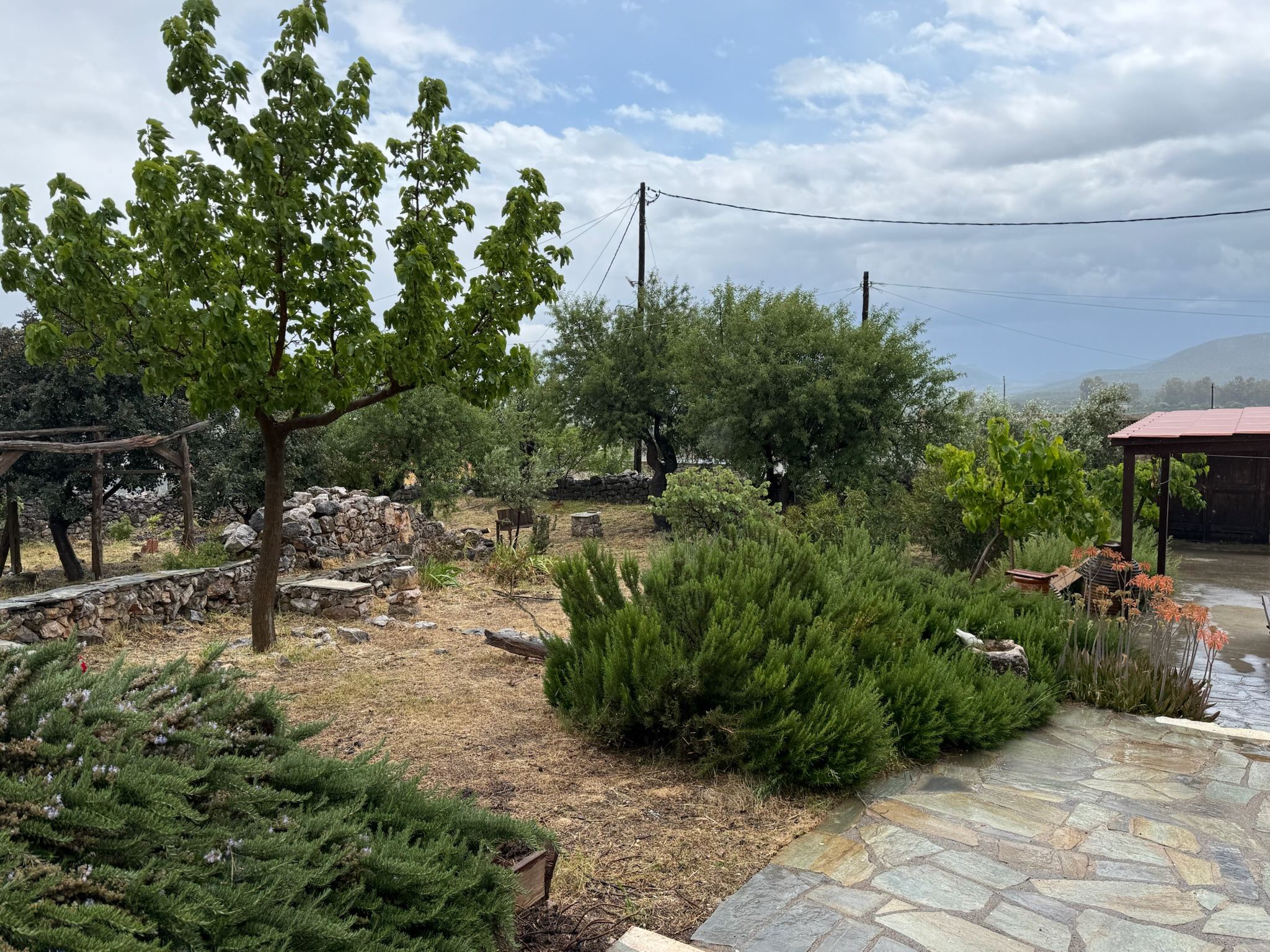 Garden terraces enclosed by dry-stone walls