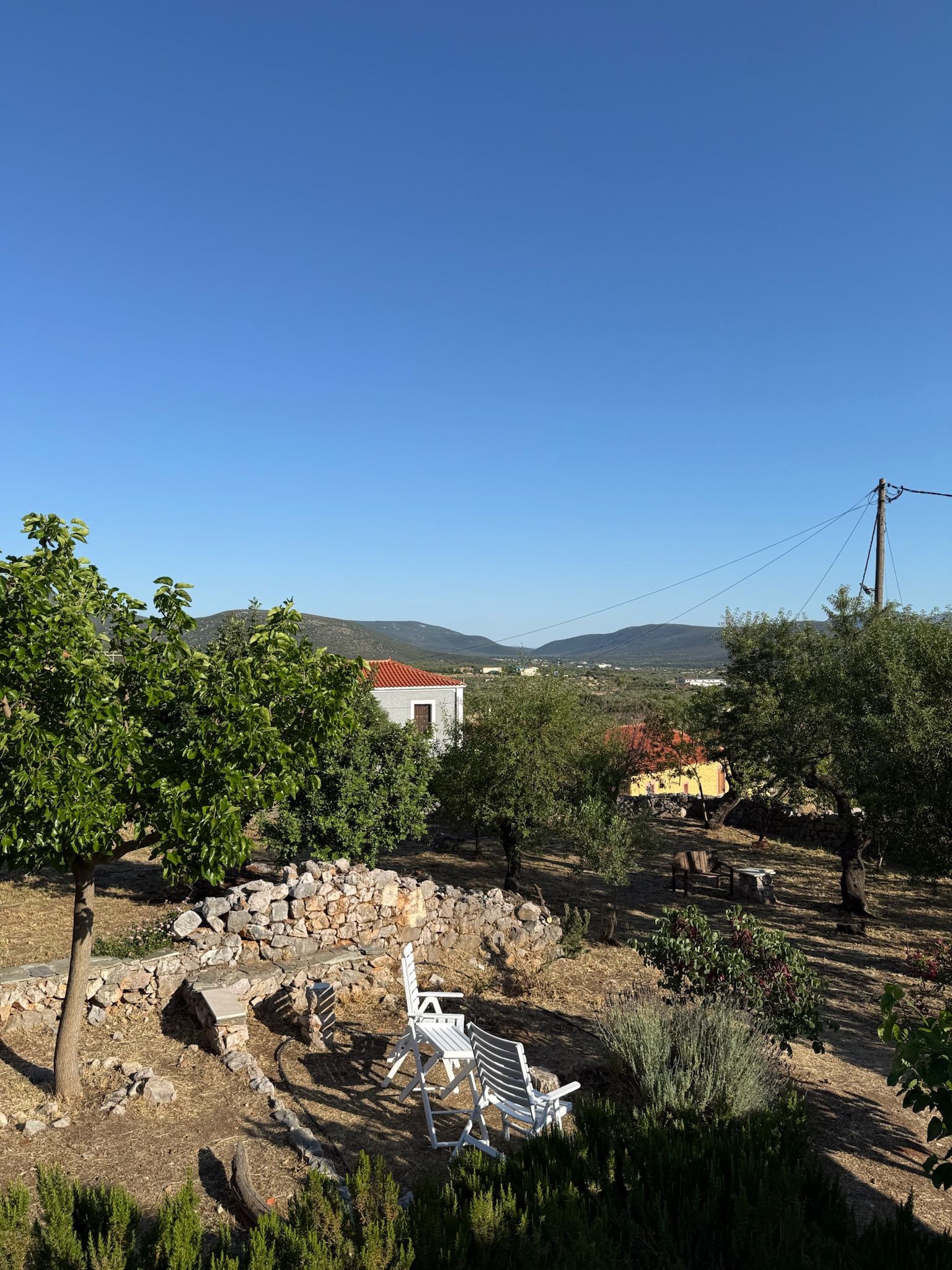 Open views toward the hills of Laconia