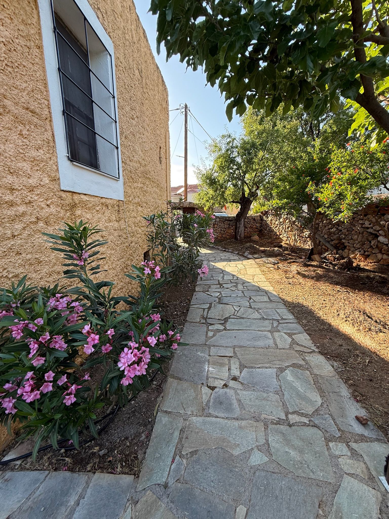 Stone path through the garden