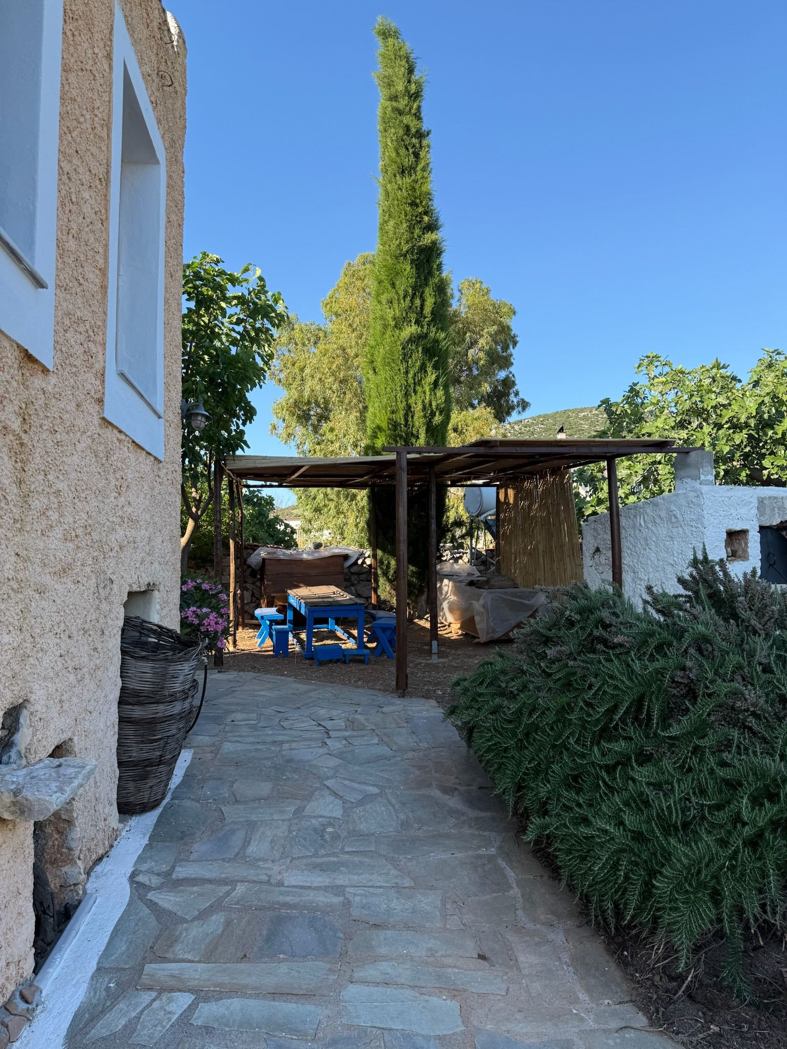 A quiet corner beneath the fruit trees